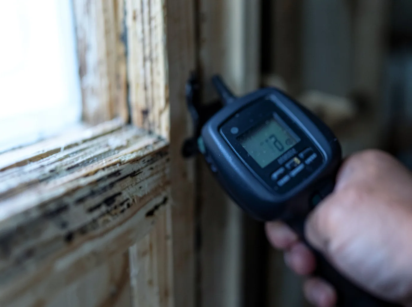 Moisture Inspection And Documentation in Combs, KY